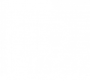 Agendamiento 1 BUSINESS2